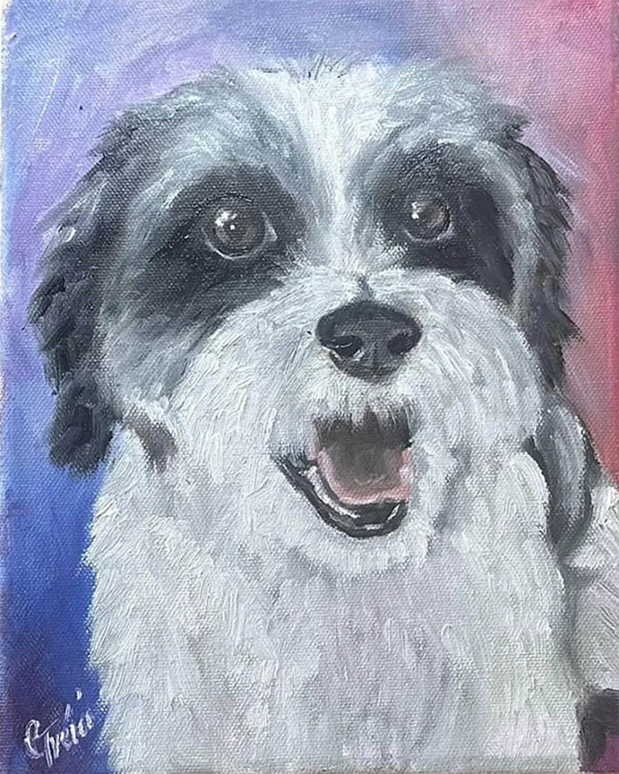 black-and-white-dog.webp