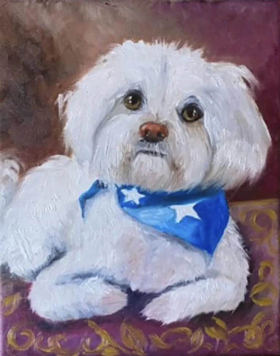 maltese.webp