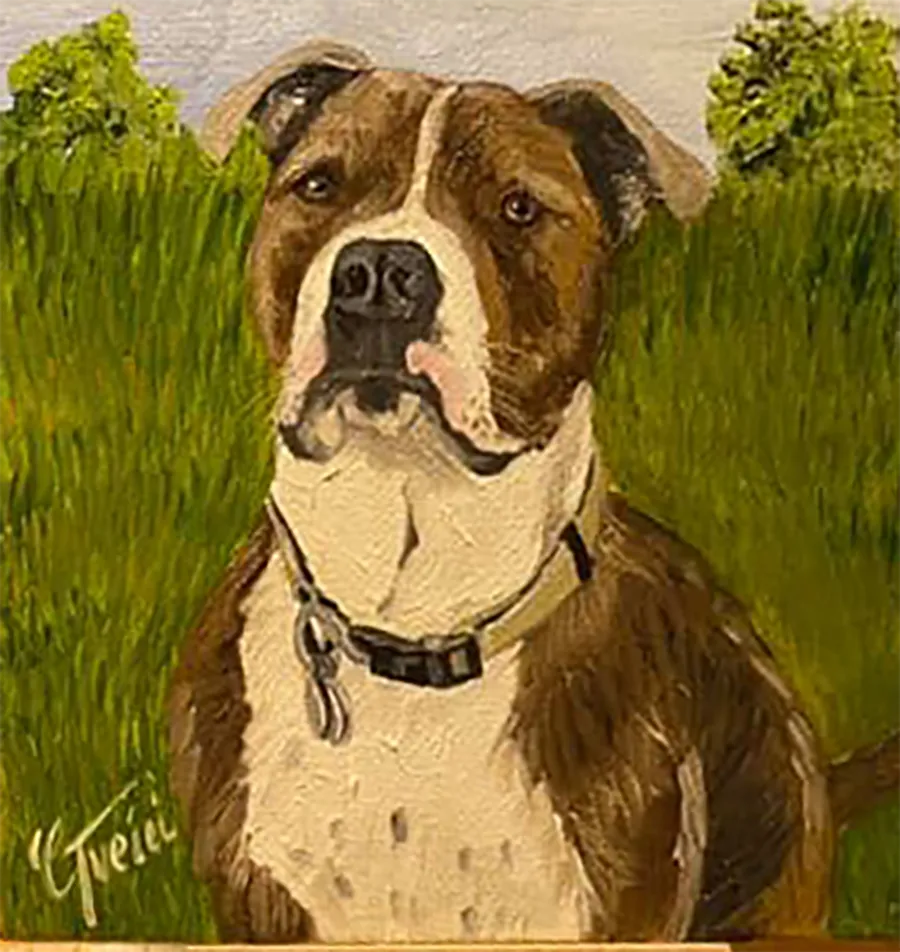 pit-bull.webp