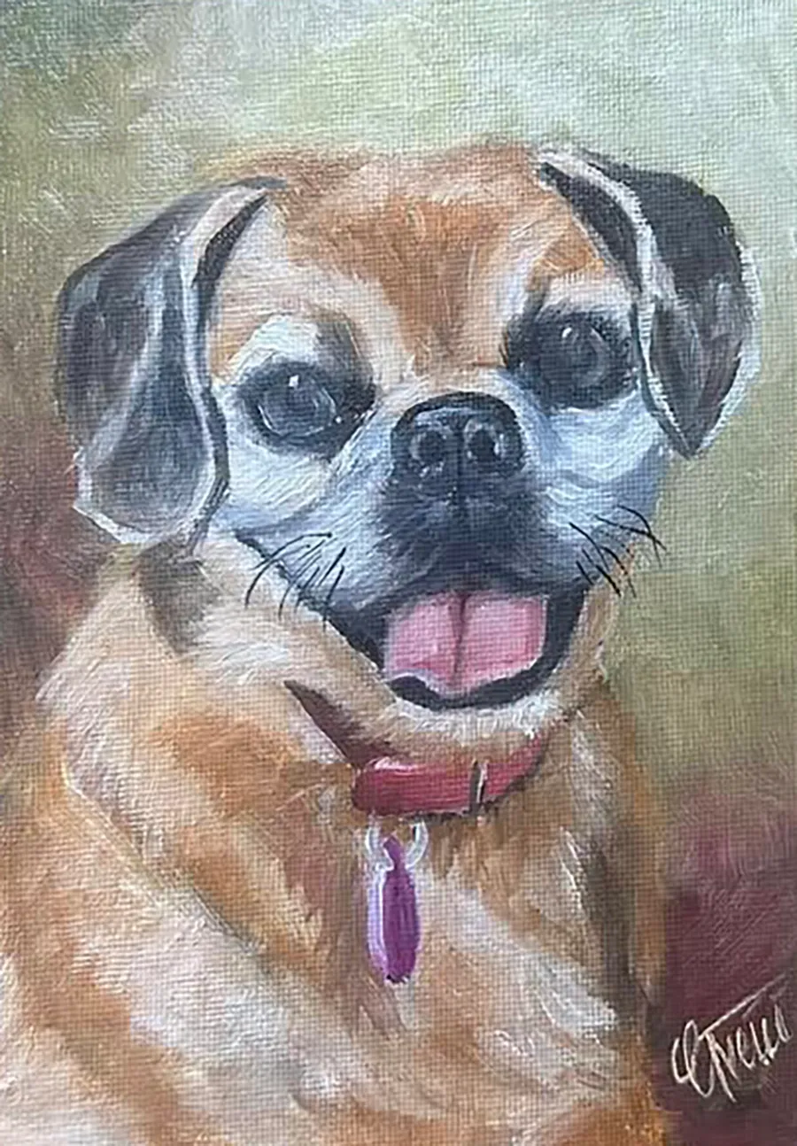 puggle.webp