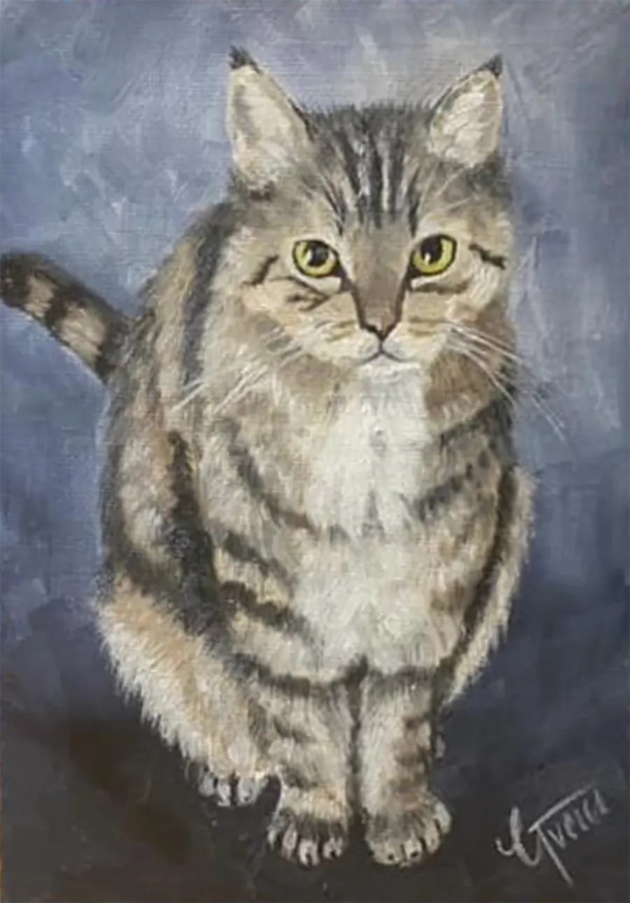 tabby.webp