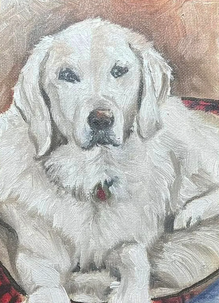 white-dog.webp